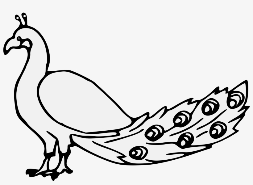 Details, Png - Rooster, transparent png #2700360