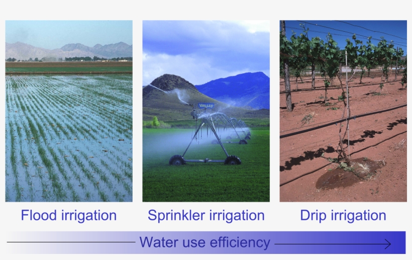 How Can We Save Water - Mark Olson, transparent png #2701302