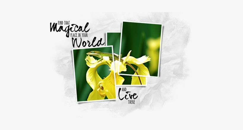 As You Can See, This Technique Can Be Used In A Variety - Photograph, transparent png #2702008