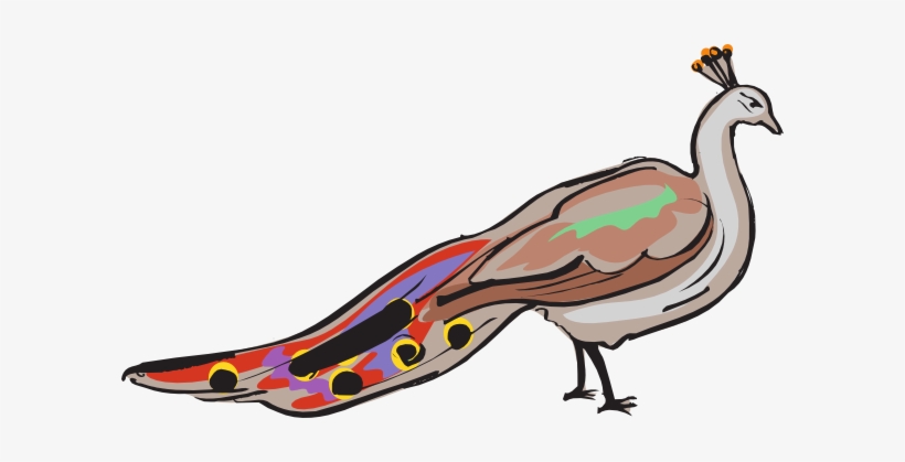 Colorful Peacock Svg Clip Arts 600 X 339 Px, transparent png #2702442