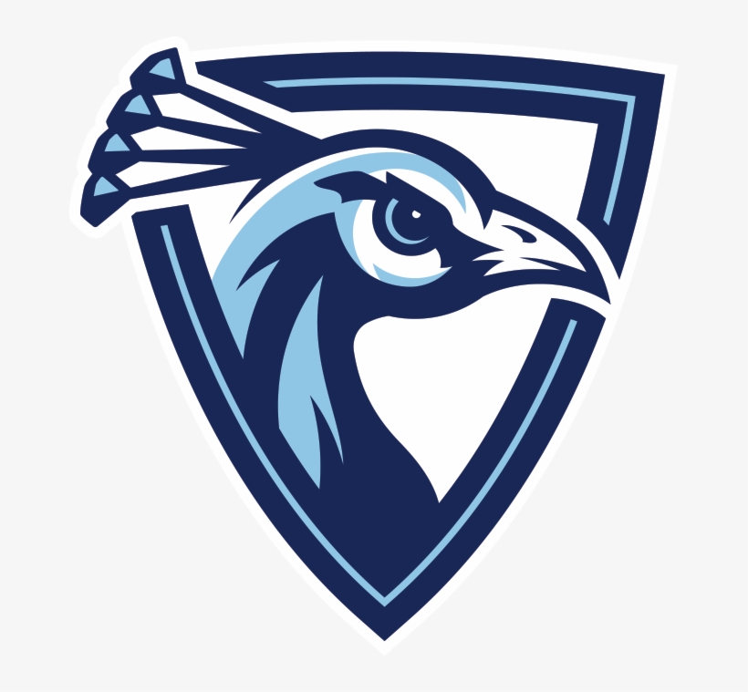 Amanda - Upper Iowa University Lacrosse, transparent png #2702499