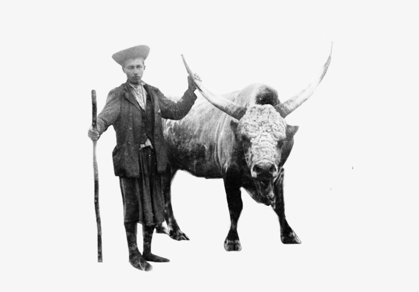 Backstory, transparent png #2702971