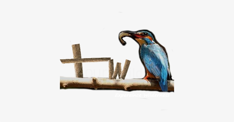 Tourwild, transparent png #2703093