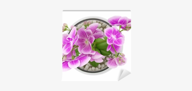 Top View Of Purple Orchid Flower In Glass Vase Isolated - Flower Top View Png, transparent png #2703485