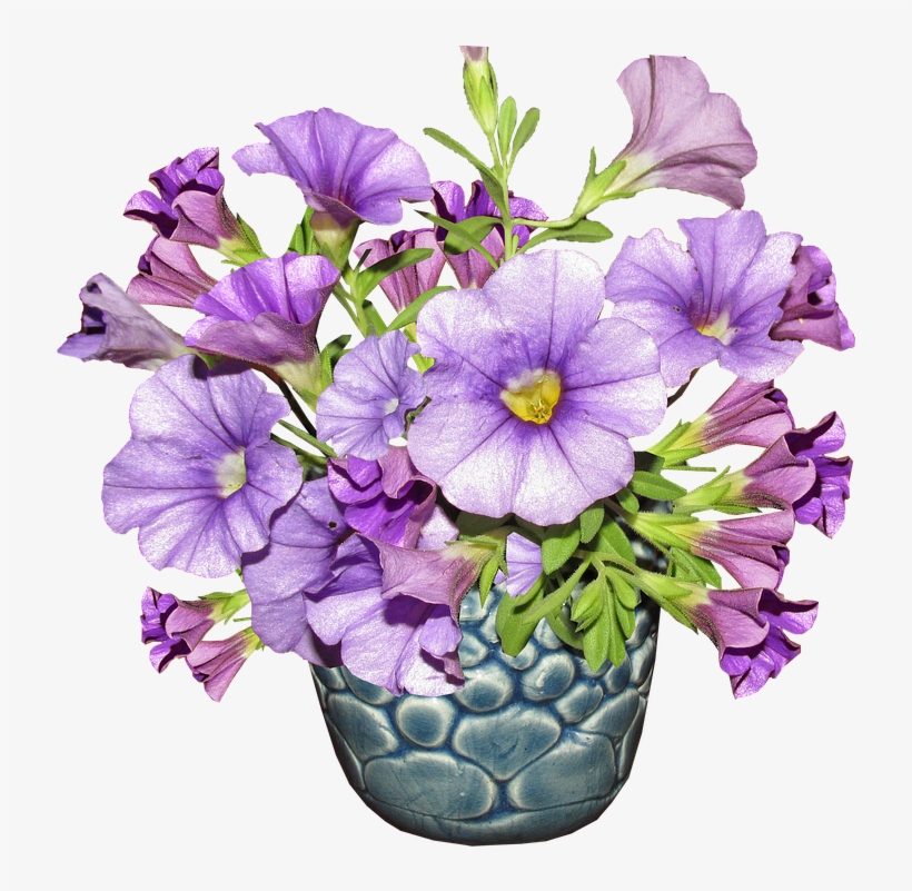 Flower, Vase, Arrangement - Bouquet, transparent png #2703631