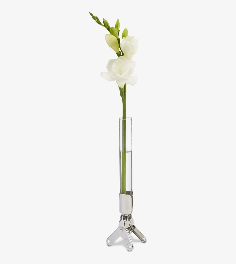 Flower Vase Clip Merci Png Flower Base - Long Flower Vase Transparent, transparent png #2703709