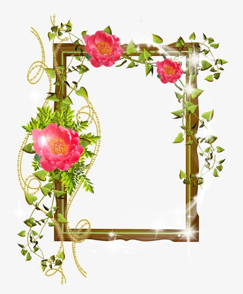 Shining Transparent With Flowers - Windows Flower Photo Frame, transparent png #2703802