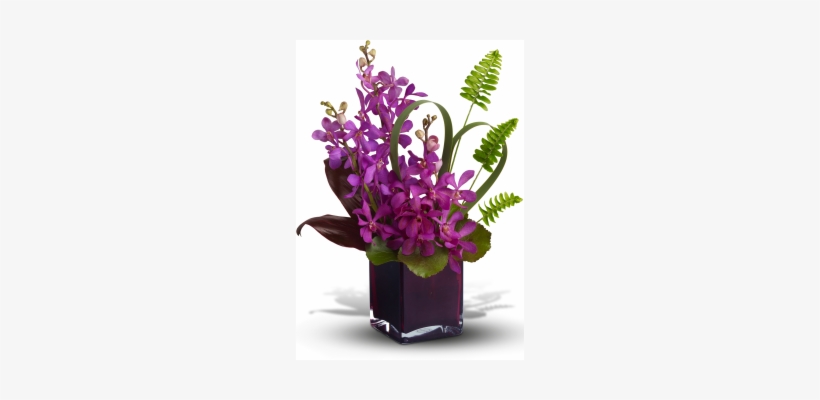 More Views, transparent png #2703880