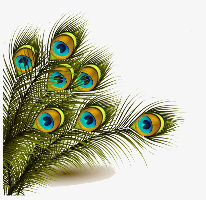 Peafowl Feather Clip Art - Peacock Feather Transparent Png, transparent png #2704737