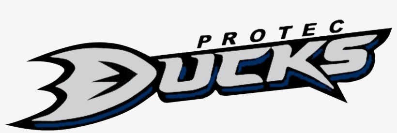 Ducks Logo No Background Hi Res Michael Loughlin 2018 - Protec Ducks Ice Hockey, transparent png #2707322