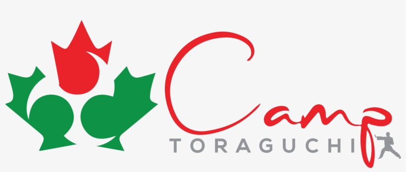 Ct Transparent Background - Vlag Canada, transparent png #2707405