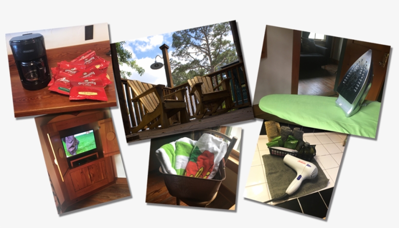 In - Bird, transparent png #2707753