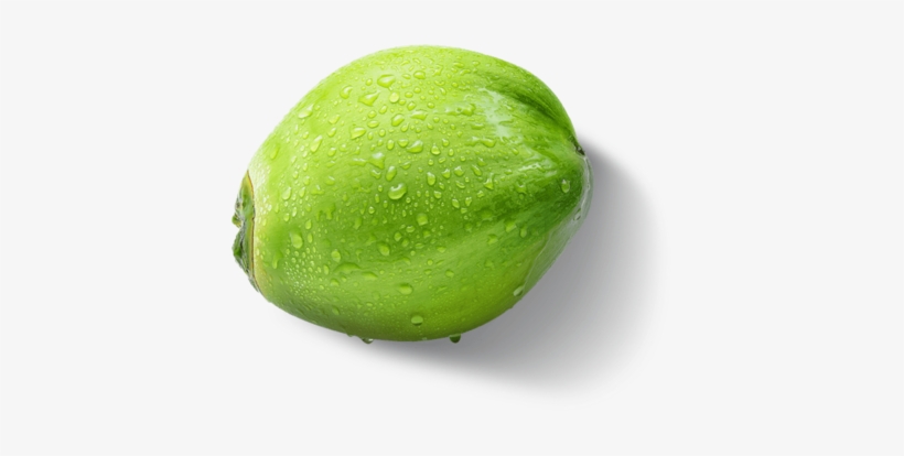 Health Benefits - Tender Coconut Png, transparent png #2708939