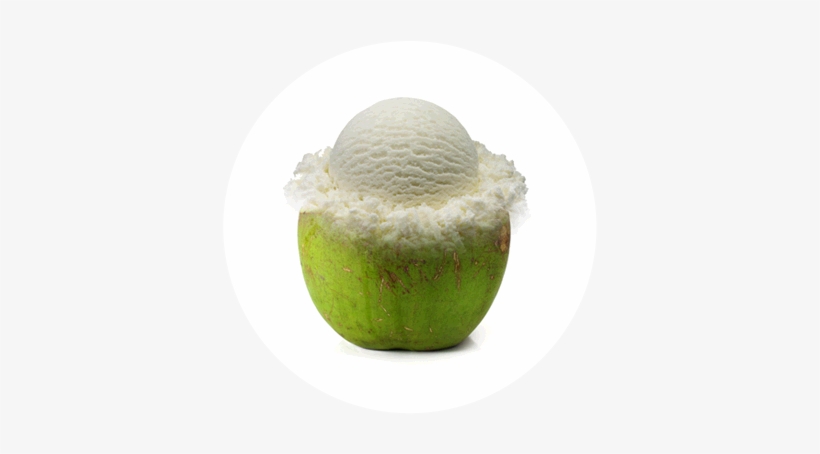 Tender Coconut - Bánh Bò, transparent png #2709081
