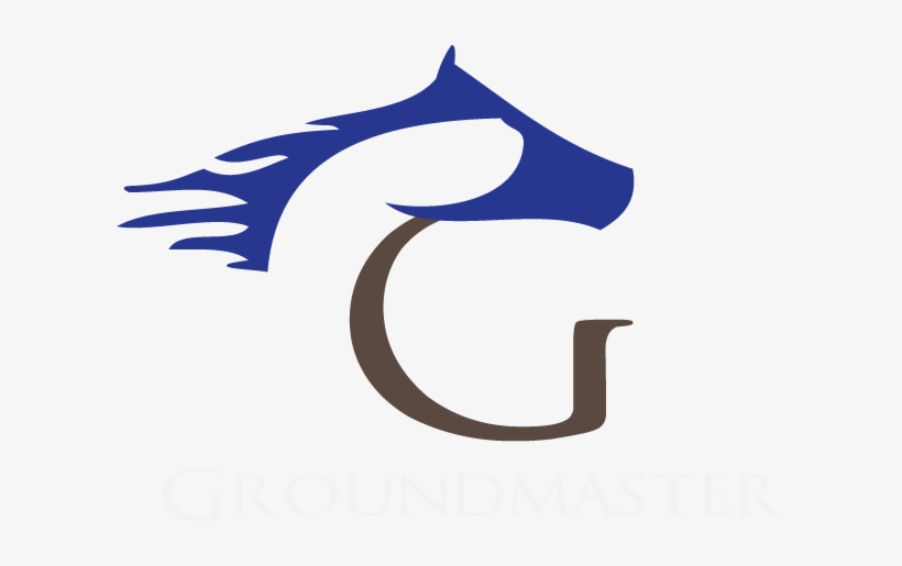 Horse, transparent png #2709724
