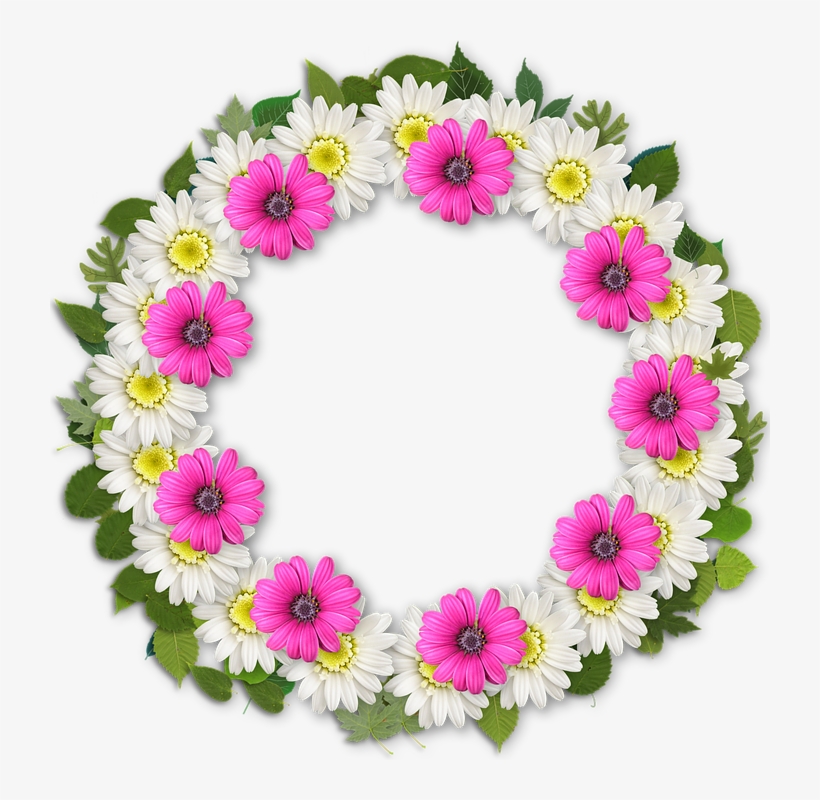 Frame, Scrapbook, Photoshop, Romantic, Flowers, Nature - Photoshop Flowers, transparent png #2709877