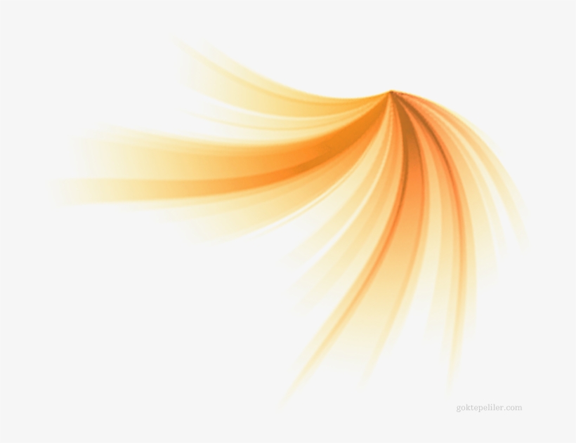 2nd July - Turuncu Süsler Png, transparent png #2712005