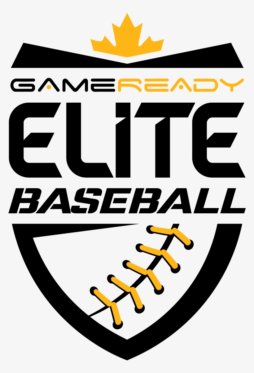 Elite Baseball Logo - Volleyball Logo Design Png, transparent png #2712646