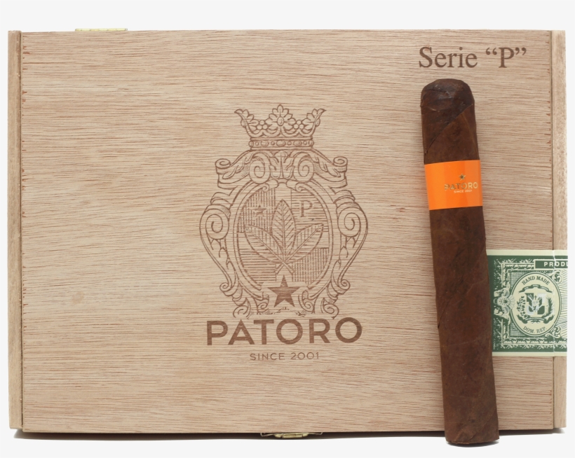 Patoro Serie P - Great Horned Owl, transparent png #2712873