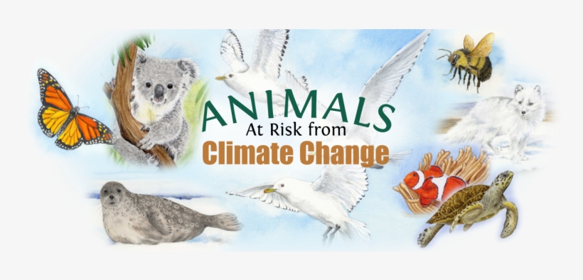 Animals At Risk From Climate Change Poster - Climate Change And Wildlife, transparent png #2713348