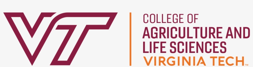 Logo - New Virginia Tech Academic Logo, transparent png #2713958
