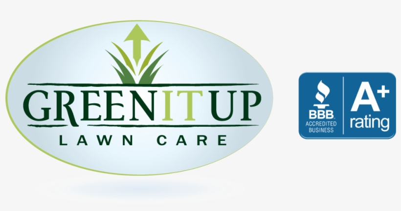 Green It Up Lawn Care Inc - Lawn, transparent png #2714177