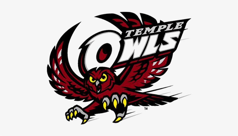 Temple Owls, transparent png #2714490