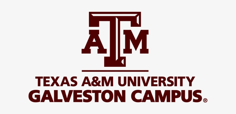 Custom Stacked Logo Electronic - Texas A&m University Galveston, transparent png #2714845
