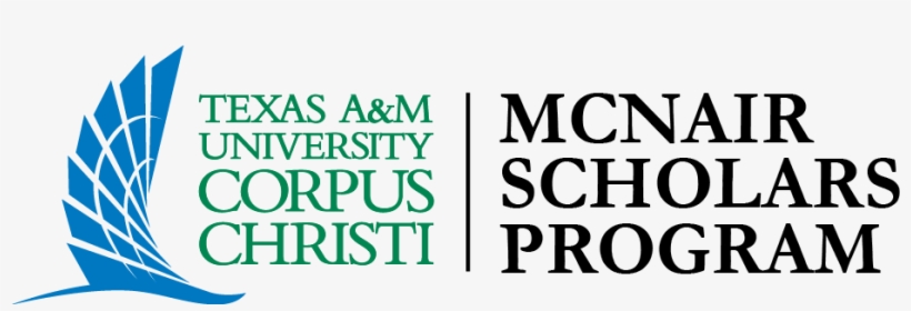 At Texas A&m University-corpus Christi - Texas A&m Corpus Logo, transparent png #2714944