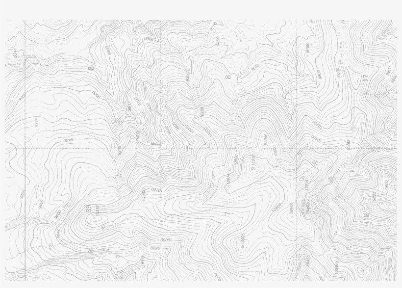 Money Doesn't Buy Happiness, But We've Never Seen A - Lace, transparent png #2716573