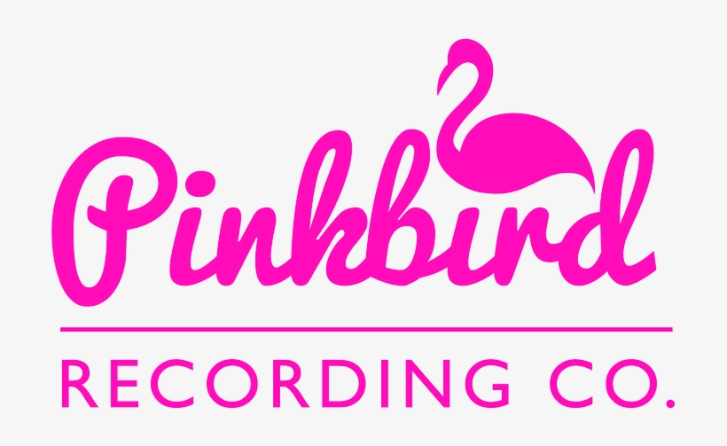 Pinkbird Recording Co - Knits And Pieces: A Knitting Miscellany, transparent png #2716627