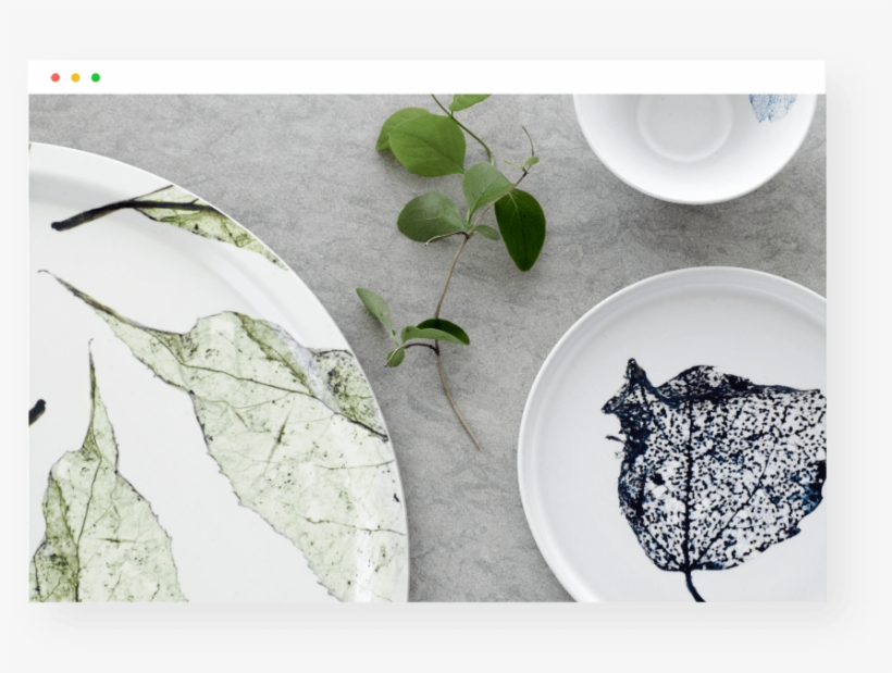 Canoe Birch, transparent png #2716793