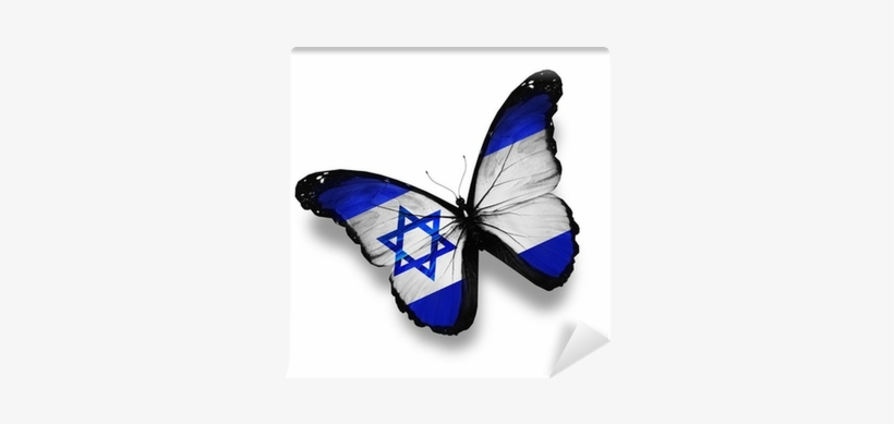 Israeli Flag Butterfly, Isolated On White Wall Mural - 以色列菁英創新奇蹟 [book], transparent png #2717407