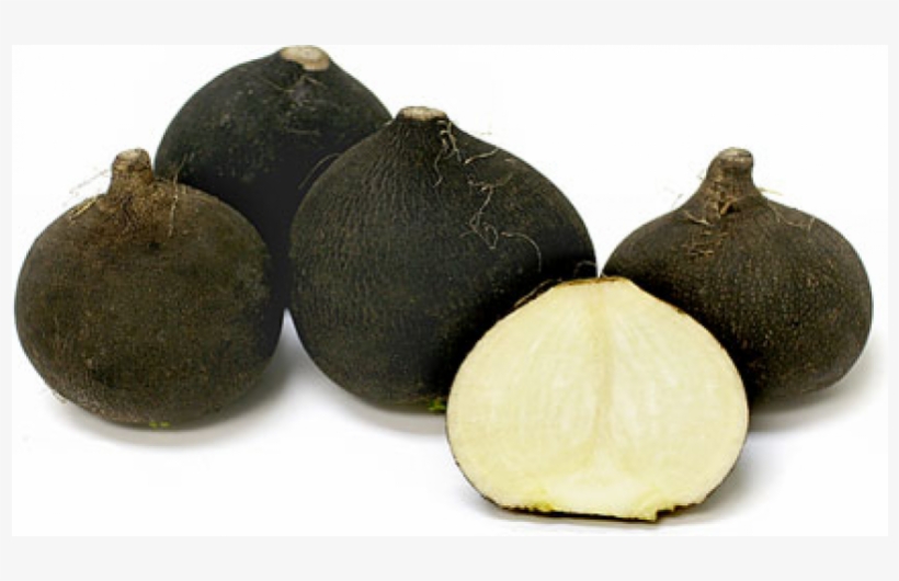 Radish - Black Spanish Round Og, transparent png #2718007