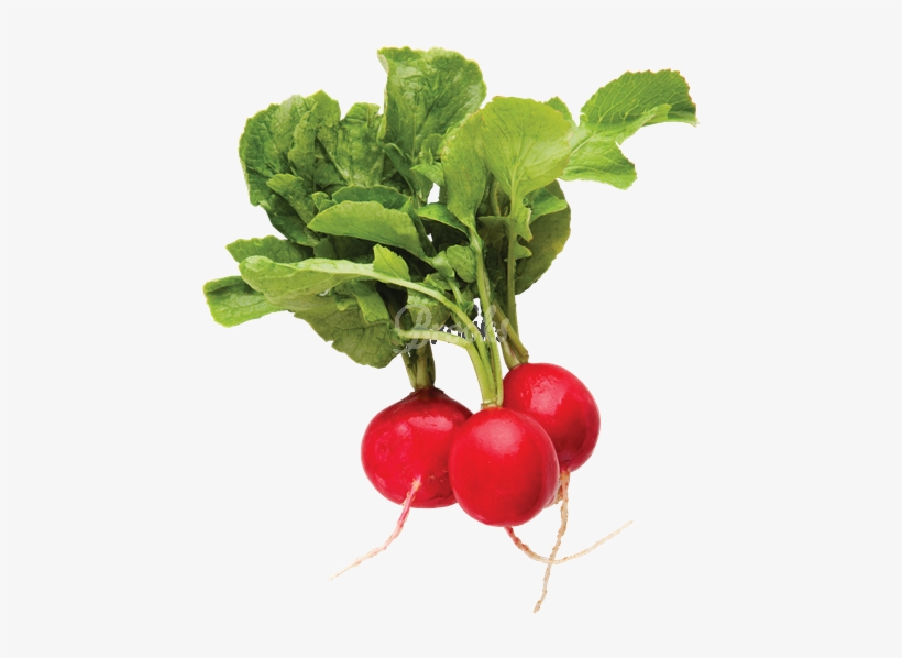 Radishes Red, 1 Lb Package - Radish Top View Png, transparent png #2718114