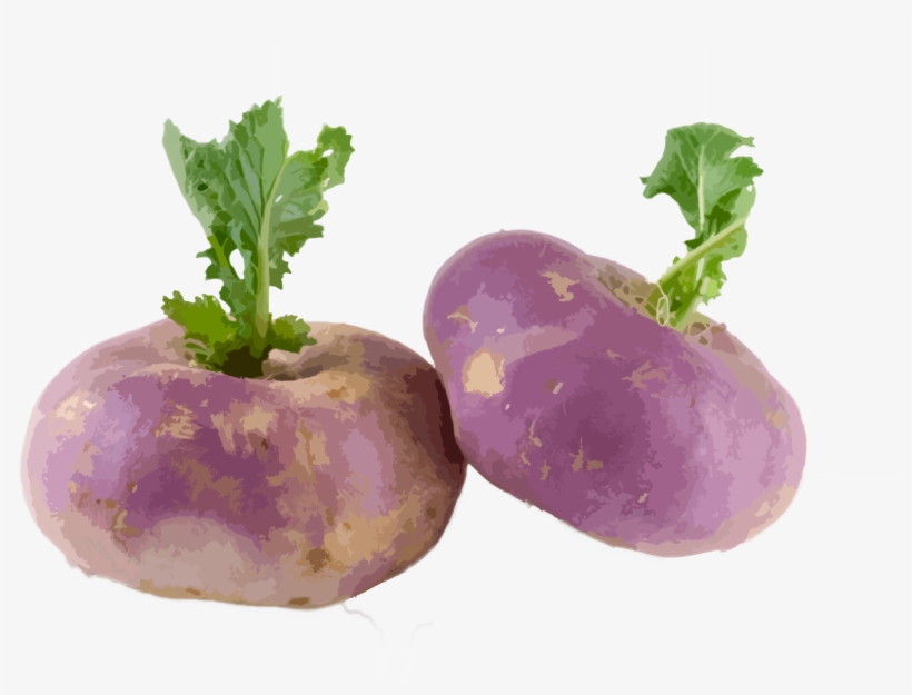 Turnip-2 - Turnip Png, transparent png #2718189