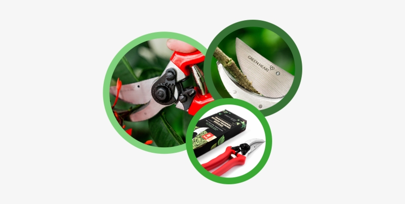 We Are A One Stop Solution For All Your Outdoor Gardening - Angle Grinder, transparent png #2718326