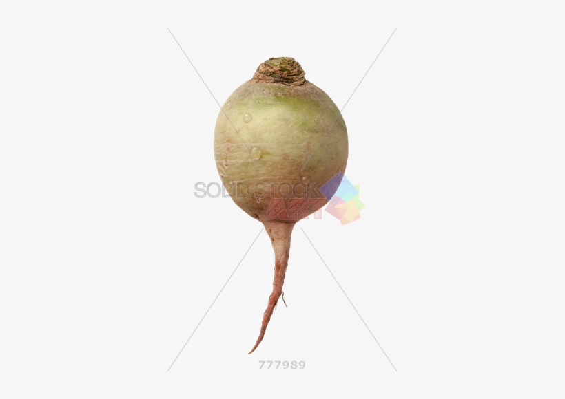 Vegetables Cut In Half, transparent png #2718351