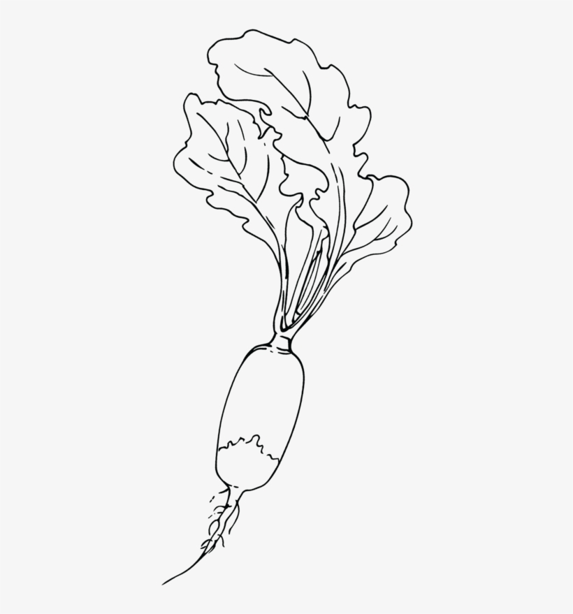 Lady Tulip, transparent png #2718564