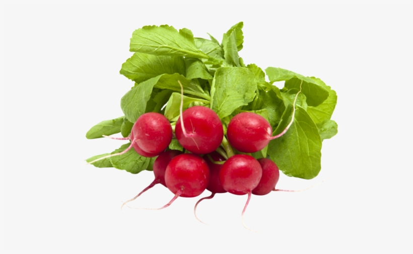 Radish, transparent png #2718736