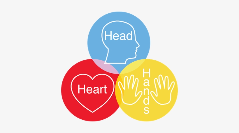 Head Heart Hands Concept - Healthy Life Next Exit, transparent png #2721170