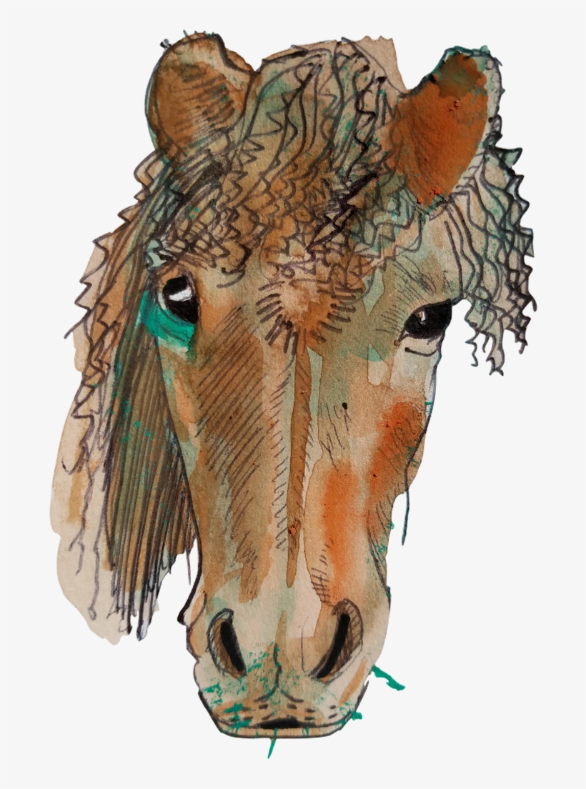 Horseface, transparent png #2721361