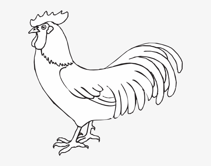 Rooster Outline Svg Clip Arts 600 X 565 Px, transparent png #2722865