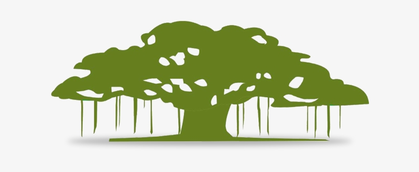 The Banyan Tree Philosophy The Banyan Tree Was Chosen - Symbol Of Banyan Tree, transparent png #2722950