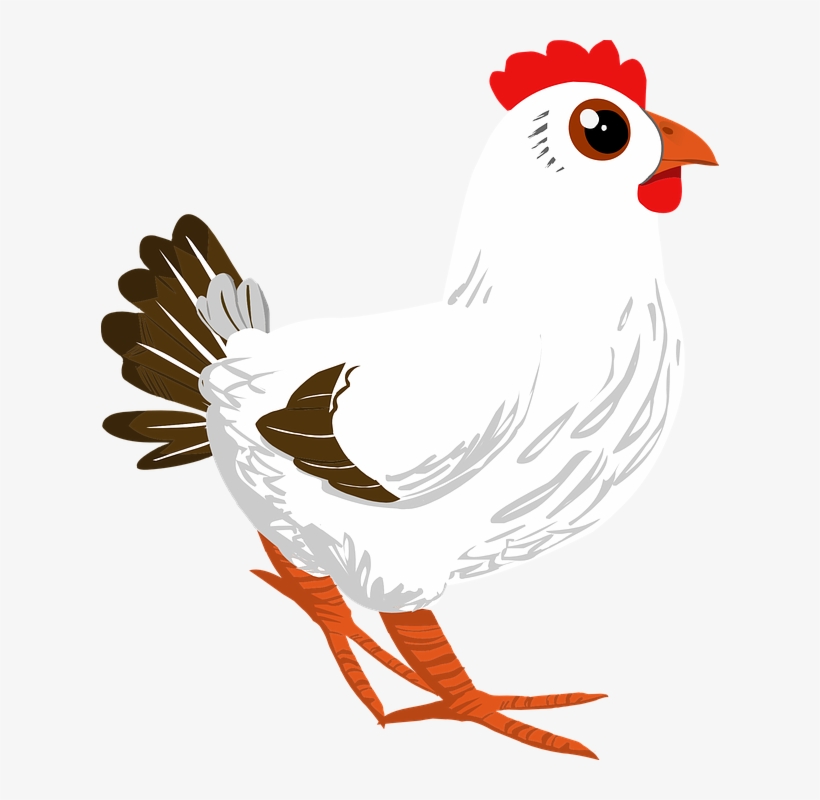Rooster, Cock, Poultry, Cockerel, Chicken, Animal, - ไก่ Png, transparent png #2722951