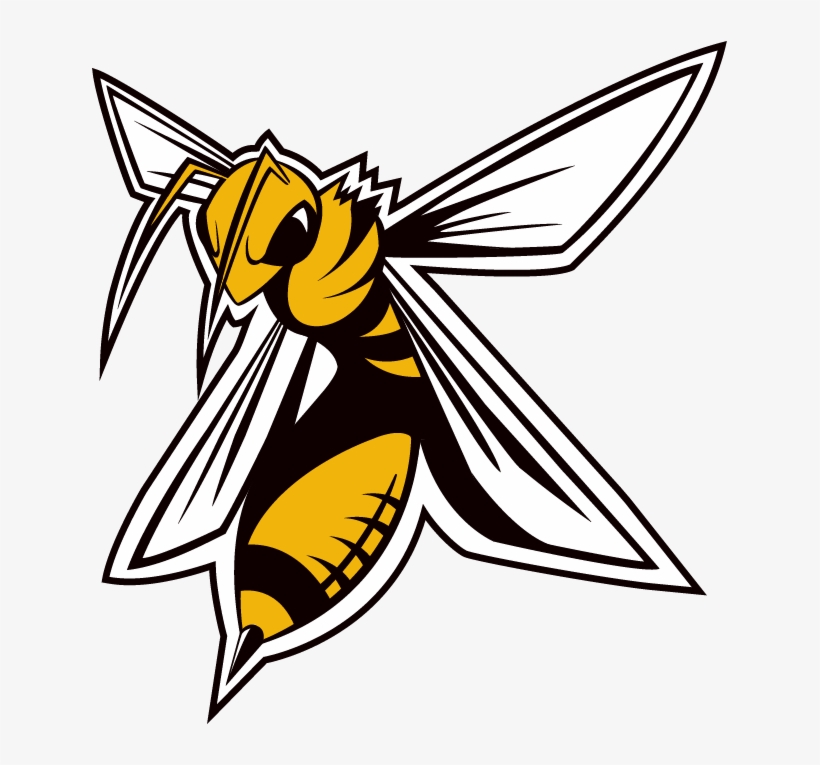 Comite Contact Archives - Hornets La Chaux De Fonds, transparent png #2723025