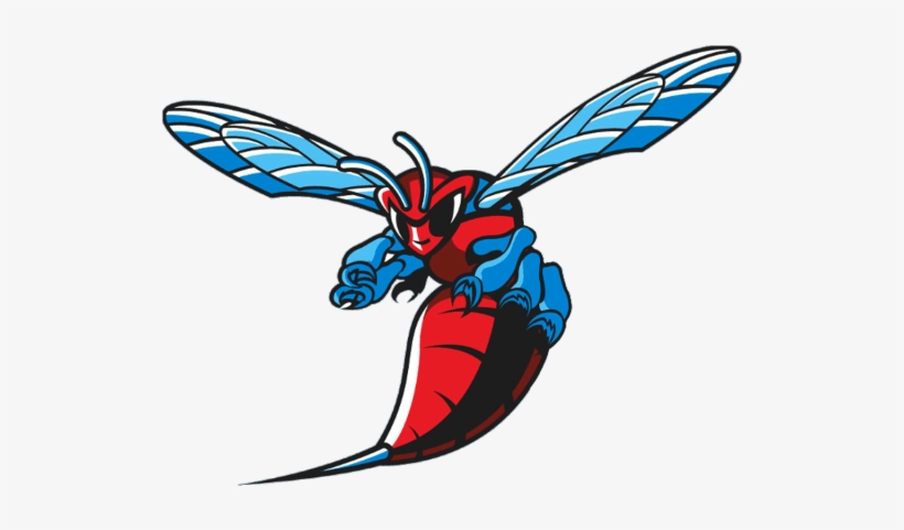 Dsu Hornets Logo 2 By Sean - Delaware State Athletics Logo, transparent png #2723554
