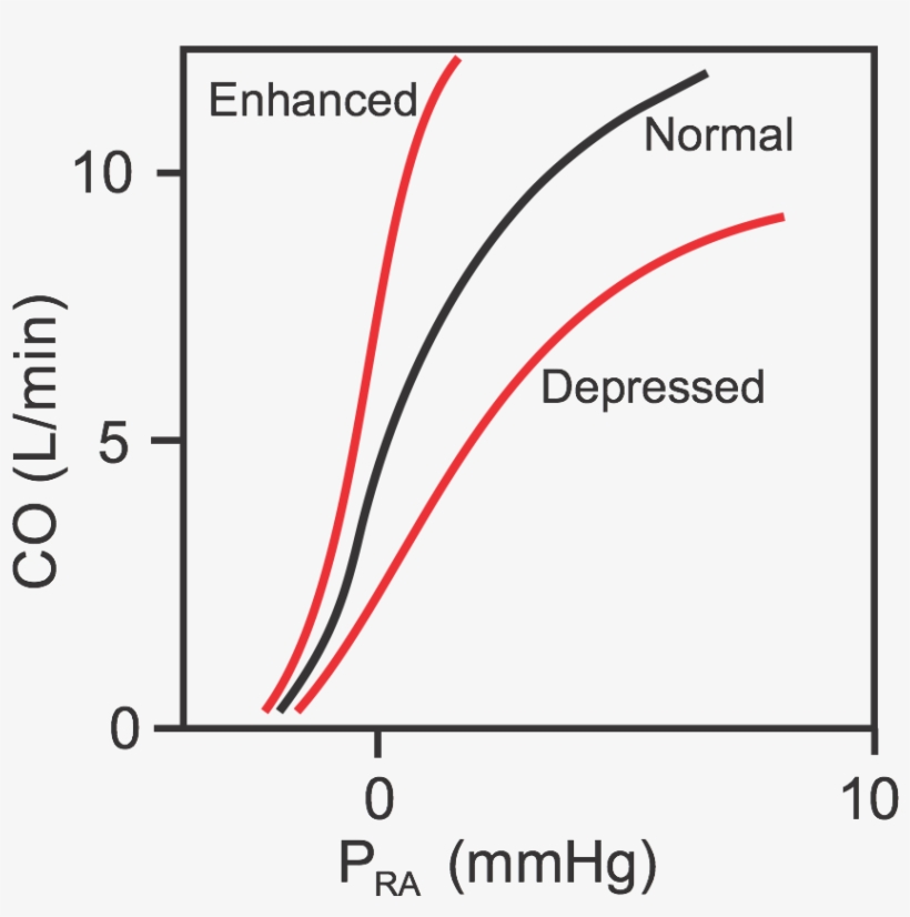 Cardiac Function Curves - Vascular Function Curve, transparent png #2724543