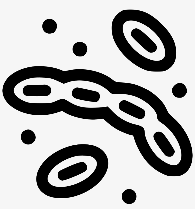 Png File - Microorganism, transparent png #2724762