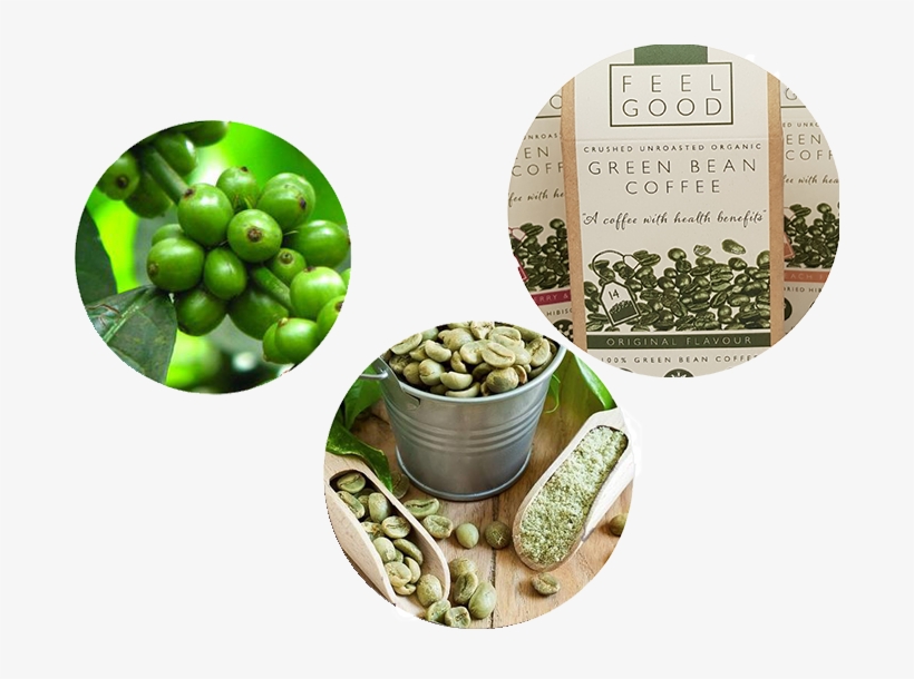 Green Bean Coffee From Tree To Packaging Picture - Green Coffee Beans Banner, transparent png #2725010